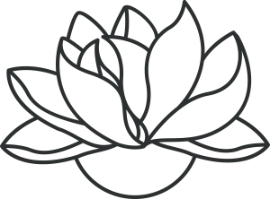 lotusdrawing-purchased1.jpg